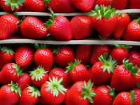 草莓挑选指南，如何辨别新鲜度与品质