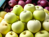 水果小百科挑选苹果，软硬度怎么捏？避坑指南