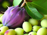 水果小百科挑选莲雾，软硬度怎么捏？攻略