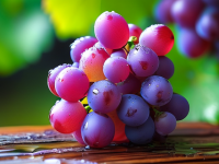 葡萄，低糖水果中的营养宝库，当季推荐排行