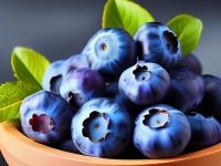 蓝莓小百科，揭秘其酸甜比例的秘密