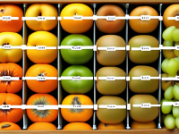 水果小百科合集 猕猴桃与李子组合清单 易剥皮