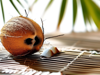 椰子的奇妙之旅，变软了还能吃吗？防压坏的小技巧