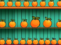 橘子小百科，一眼识别的外观特征