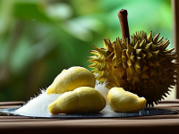 榴莲的奥秘，纤维与蛋白的完美搭档