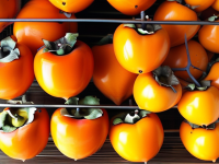 揭秘柿子挑选技巧，甜度与颜色的双重标准