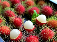 红毛丹，水果中的营养宝库与纤维的奇迹