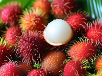 水果小百科，红毛丹的冷冻保存技巧与防压坏方法