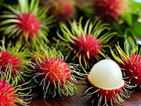 红毛丹，水果界的小百科