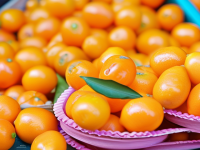 水果小百科，菜市场里的小金桔，如何吃得更舒服