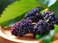 揭秘桑葚，如何挑选出既重又多汁的优质果实