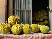 榴莲，备考人群的甜蜜加餐选择