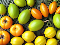 水果小百科挑选椰子甜度技巧 挑甜看颜色