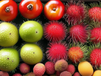 水果小百科，红毛丹的完美食用法则