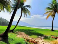 椰子挑选指南，表皮发黏不是问题，这些技巧帮你选到新鲜好椰子