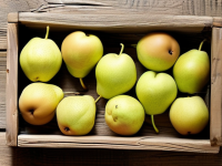 梨的保存与防压坏技巧