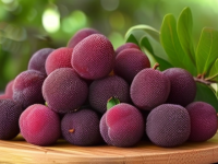 杨梅，水果小百科中的家庭必备佳品