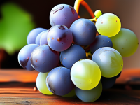 葡萄小百科，揭秘真假辨别与籽的形态